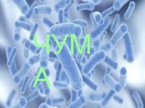 Презентация по окружающему миру Чума(3 класс)