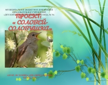 Презентация в ДОУ  СОЛОВЕЙ-СОЛОВУШКА