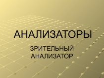 Презентация по биологии 8 класс по теме : Зрительный анализатор