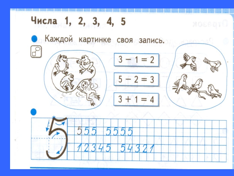 Презентация число 5. Урок число и цифра 5. Цифра 5 задания. Цифра 5 задания для 1 класса. Число 5 задания для 1 класса.