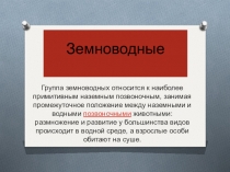 Земноводные