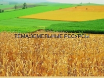 Презентация по теме Земельные ресурсы.