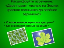 Презентация по биологии 5 класс по теме Растения
