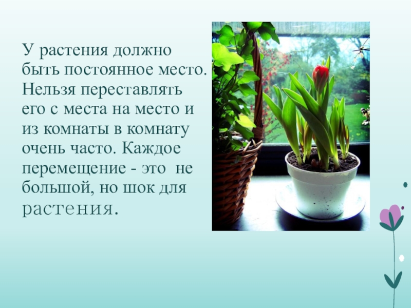 Сколько цветов должно быть в презентации