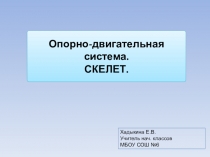 Презентация по окружающему миру Опорно-двигательная система 3 класс