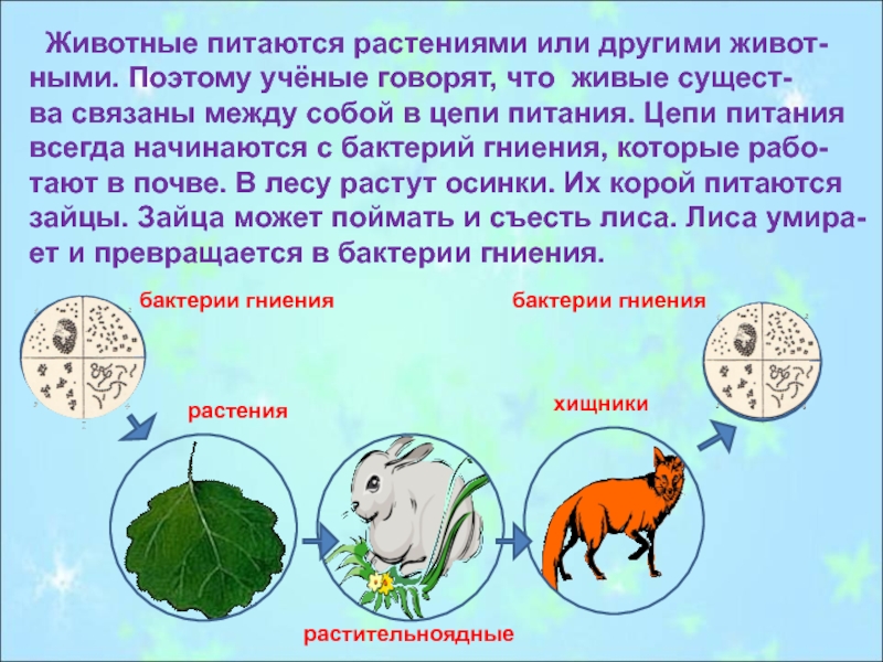 Презентация цепи питания 3 класс окружающий мир