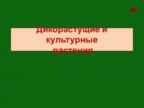 Презентация по окружающему миру на тему Дикорастущие и культурные растения ( 3 класс)