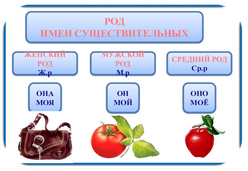 Какие особенности рода имен существительных есть в русском языке 3 класс презентация