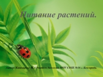 Презентация к уроку Фотосинтез - воздушное питание растений