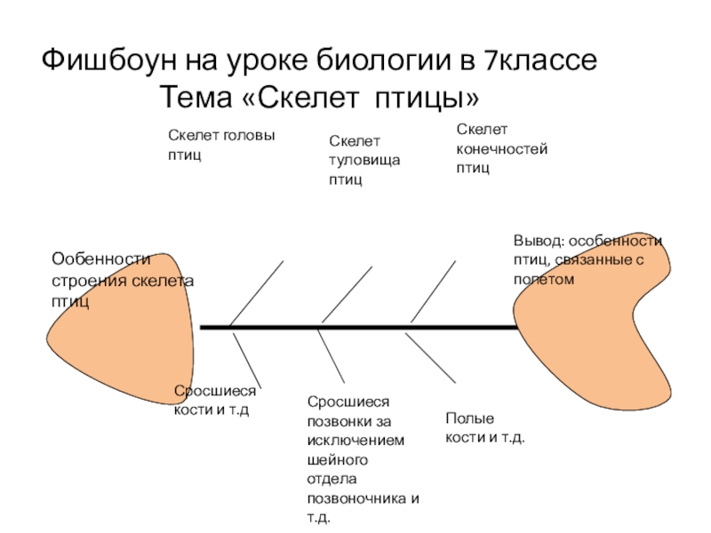 Схема рыбий скелет