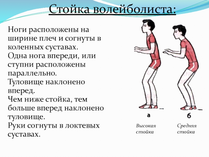 Упражнения для волейболистов. Комплекс упражнений для разминки волейболиста. Упражнения перед игрой в волейбол. Комплекс упражнений для разминки перед волейболом. Разминка волейболиста упражнения.