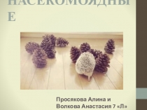 Презентация по биологии на тему: Отряд Насекомоядные (7 класс)