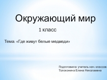 Презентация по окр миру  Где живут белые медведи