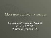 Презентация к уроку окружающего мира