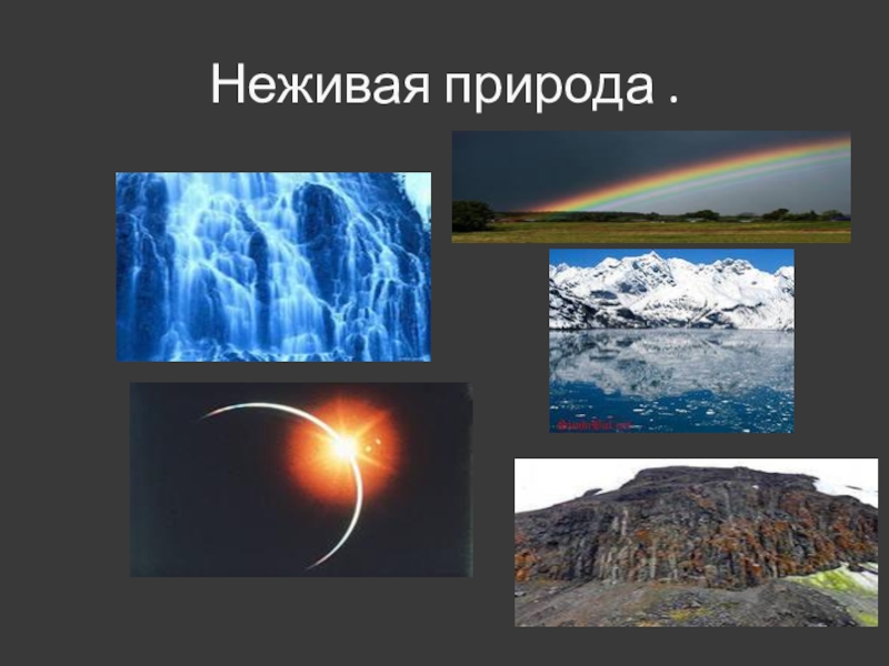 Примеры неживой природы. Неживая природа. Объекты неживой природы. Неживая природа в городе. Понятие неживая природа.