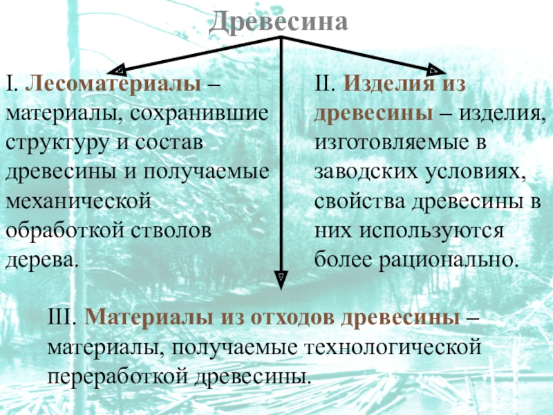 Древесные по составу. Состав древесины.