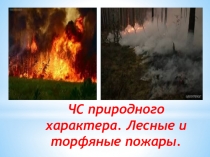 Презентация Чрезвычайные ситуации природного характера