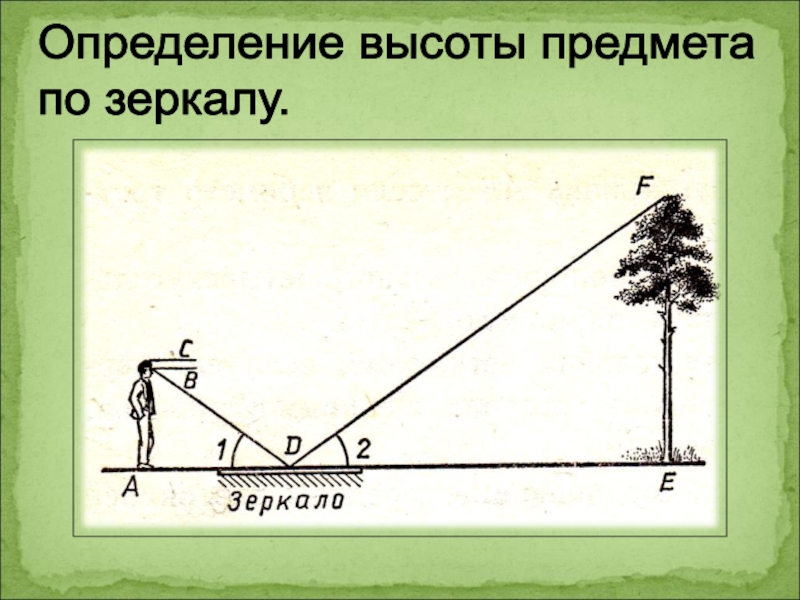 Проект измерительные работы на местности 8 класс