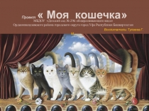 Презентация по проектной деятельности в детском саду. Проект Моя кошечка