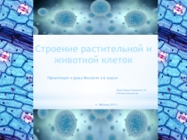 Презентация по биологии на тему: Строение растительной и животной клеток (6 класс)