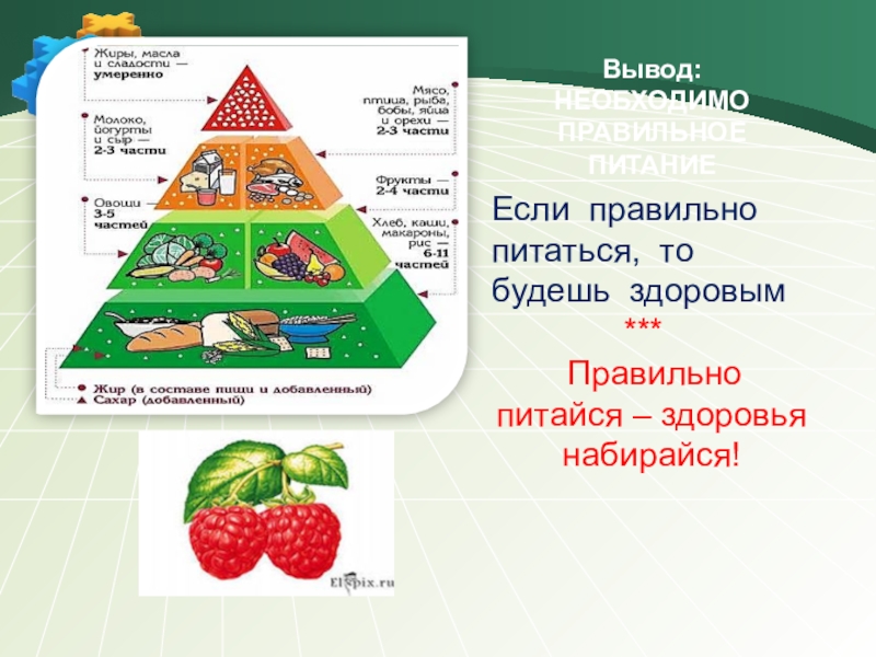 Какой продукт можно сделать для проекта по биологии