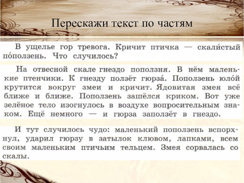 Изложение 4 класс упр. Н Сладков в ущелье гор тревога. В ущелье гор тревога. Храбрая птичка изложение 4 класс. Изложение поползень 4 класс.