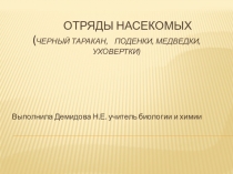 Классы насекомых: поденки уховертки медведки, черный таракан