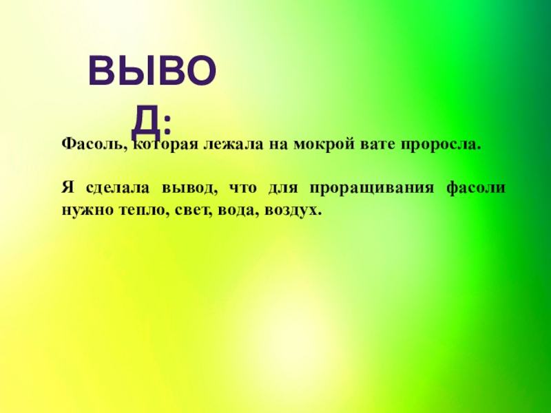 Проект по биологии фасоль