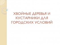 Хвойные деревья и кустарники для городских условий.