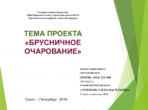 Презентация к проектной работе по технологии (коррекционная школа 7-вид)