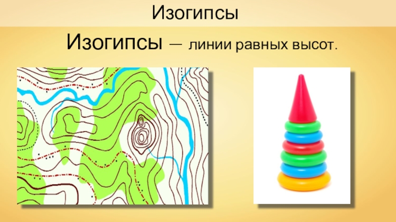 Горизонталь 5. Изображение рельефа на карте. Горизонтали изогипсы. Изогипсы – линии равных высот.. Изогипсы на карте.