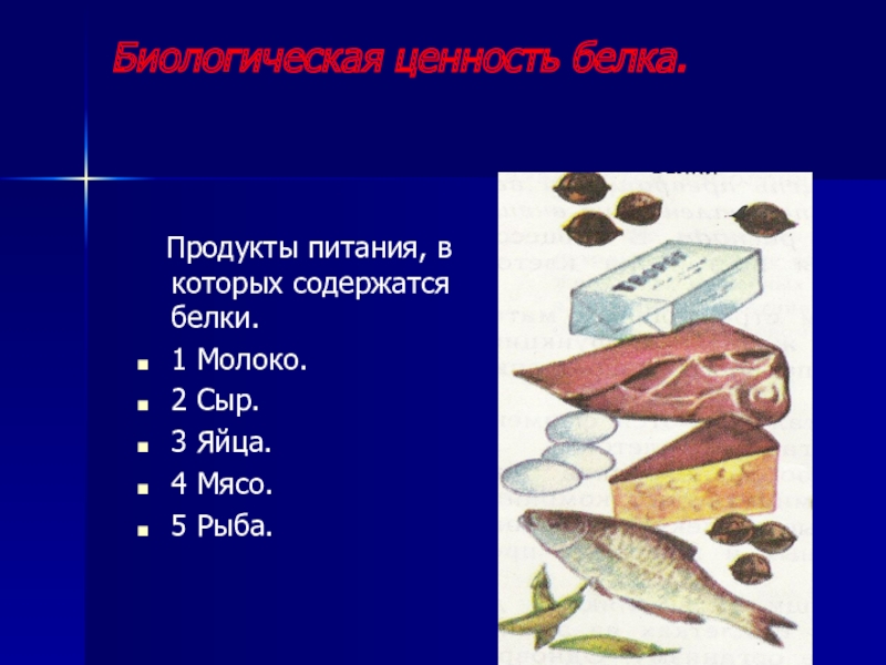 Ценность белка. Биологически ценные белки содержатся. В какой рыбе содержится белок. Какие белки содержатся в рыбе. В рыбе содержатся: белки.