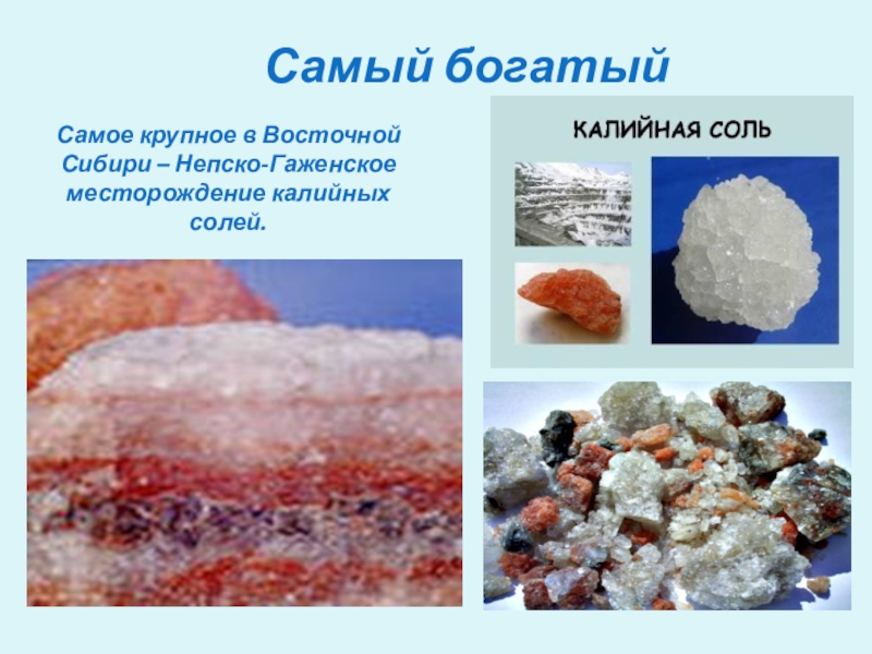 Как люди используют каменную соль. Калийная соль Горная порода. Калийные удобрения Сильвинит. Калийная соль 4 класс. Калийная соль это Сильвинит.