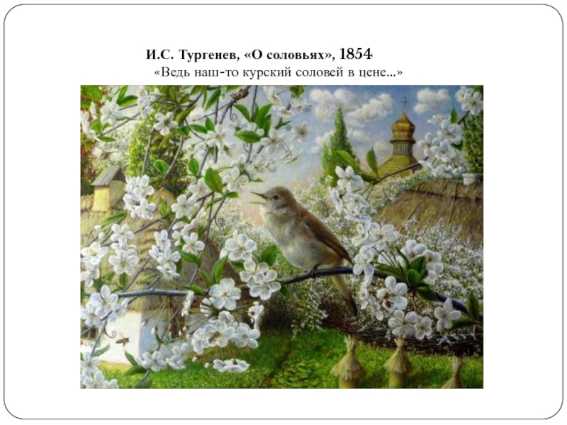 И.С. Тургенев, «О соловьях», 1854 «Ведь наш-то курский соловей в цене…»