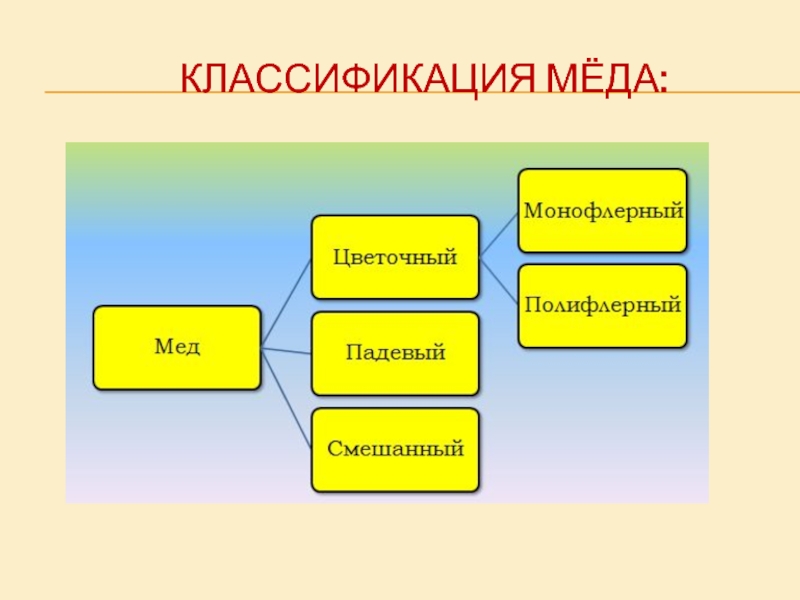 Классификация меда схема