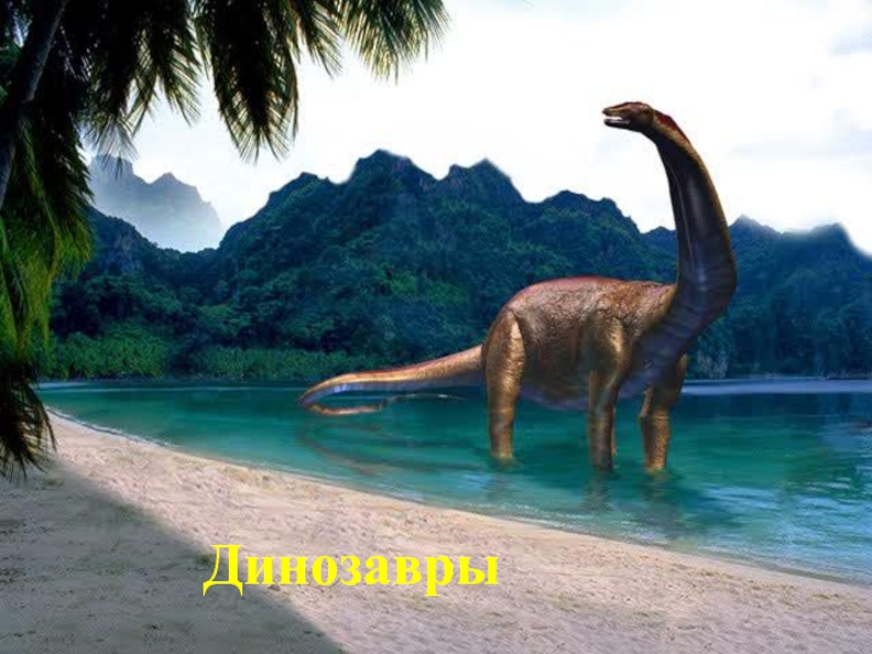 Презентация Презентация Когда жили динозавры?