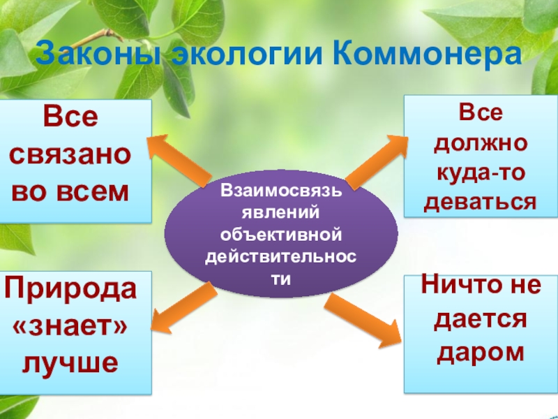 Проект на тему экология 9 класс биология