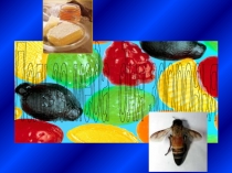 Презентация по НПК Польза меда