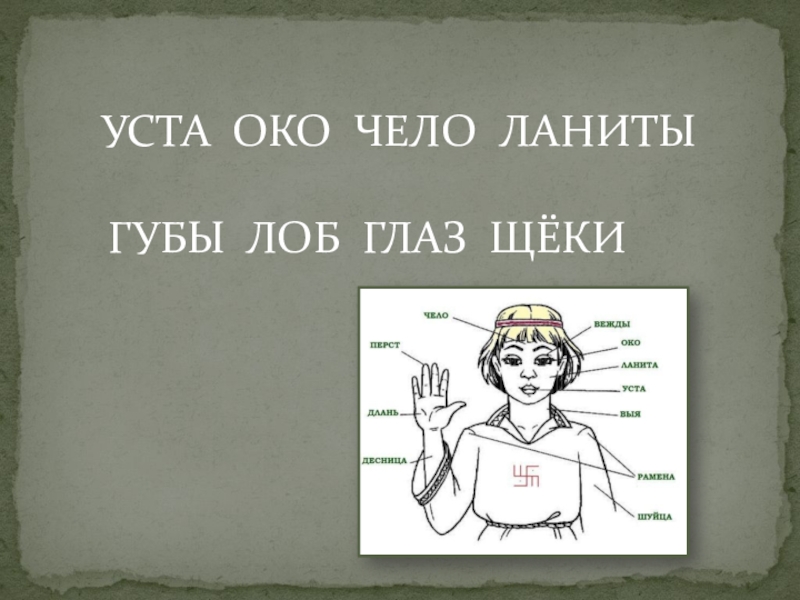 1 ланиты. Уста ланиты чело. Чело уста очи. Лоб устаревшее слово. Уста - губы ланиты- ?.