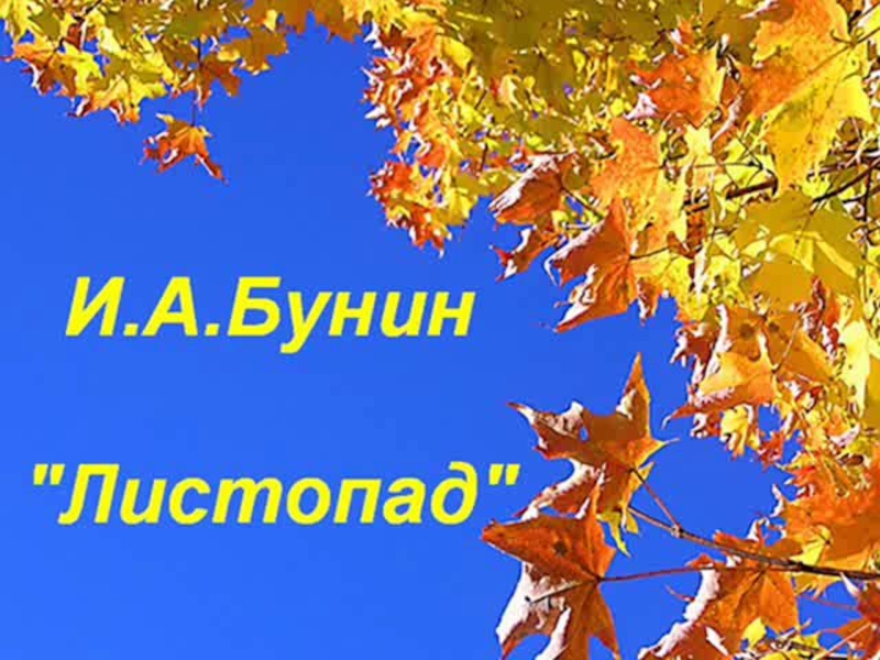 Листопад бунин слушать. Иван Алексеевич Бунин листопад. Листопад Бунина. Стихотворение листопад. Стихотворение Бунина листопад.