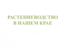Презентация по окружающему миру на тему Растениеводство в Пермском крае