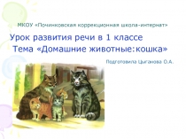 Презентация по развитию речи на тему Домашние животные. Кошка (2 класс коррекционная школа 8 вида