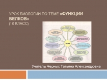Презентация к открытому уроку по теме Функции белка