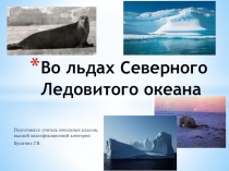 Презентация Во льдах Северного Ледовитого океана