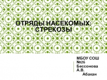 Отряды насекомых