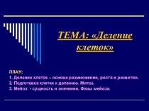 Презентация по биологии на тему Способы деления клеток