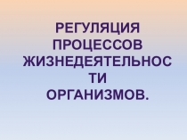 Презентация к уроку Регуляция процессов жизнедеятельности организмов