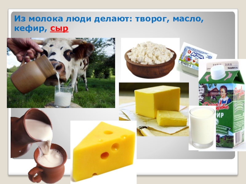 Продукты из молока картинки для детей