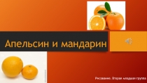 Презентация к занятию по рисованию на тему Апельсин и мандарин (2 младшая группа)