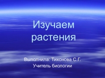 Презентация Изучаем растения 6 класс